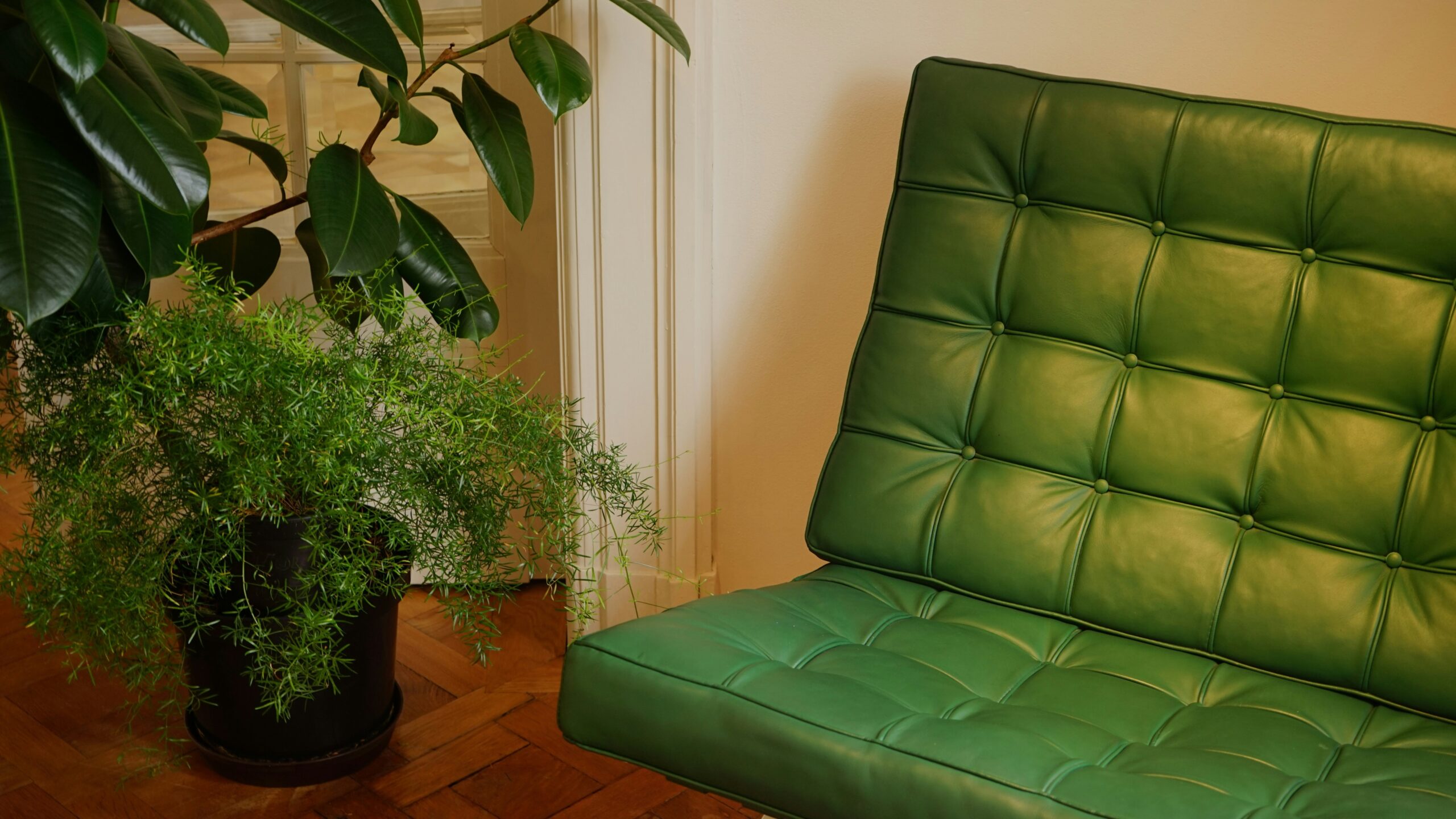 Chart comparing eco-friendly materials commonly used in sustainable furniture