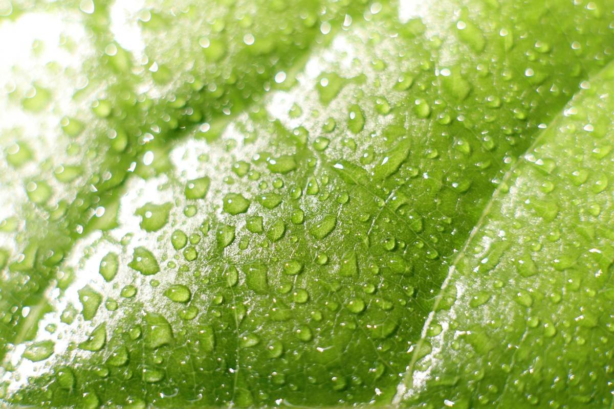 Bar chart showing 70% of smart furniture lacks recyclability vs. 22% using renewable materials in 2024